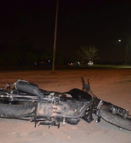 Insólito choque en Santo Domingo: motociclista se estrelló contra caballo y murió