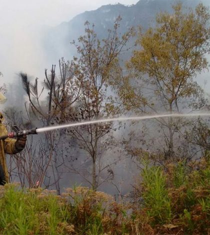 Combaten vía terrestre y aérea incendio en sierra de Santiago, NL