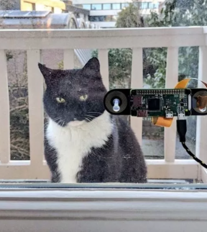 Construyó un dispositivo de reconocimiento facial para su gato