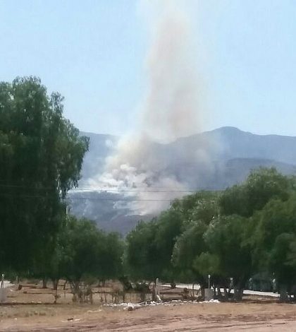 Incendio en Terreros ha arrasado con más de 100 hectáreas