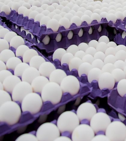 Retiran millones de huevos en EU por contaminación bacterial