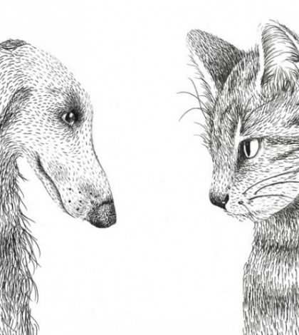 Huellas de papel; la literatura produce perros y gatos memorables