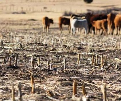 Sequía impactará a las 4 zonas de SLP