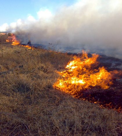 Incendio arrasa dos hectáreas en colonia rural