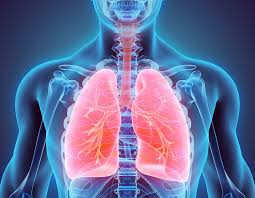 Exhorta Congreso a la SS a mejorar la salud pulmonar de los potosinos
