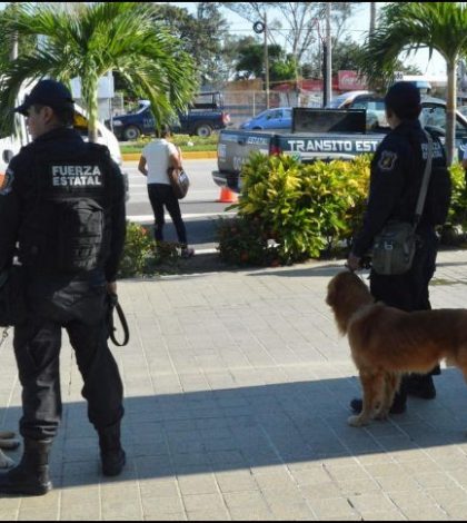 Grupo armado irrumpe en escuela en Acapulco y secuestra a una mujer