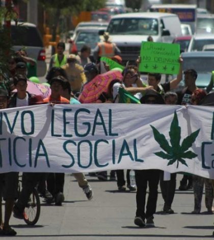 Legalización de mariguana mediante política de Estado: Medina Mora