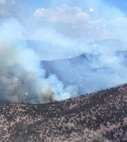 Alertan de posibles incendios  forestales… por onda de calor