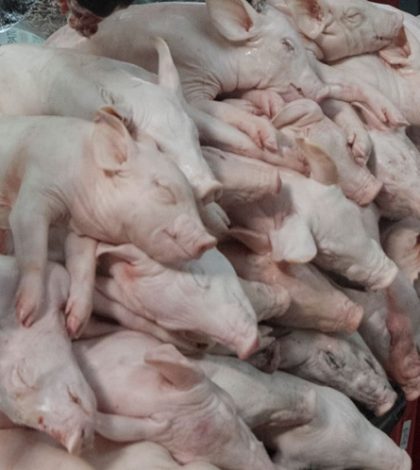 México impone aranceles del 20% a carne de cerdo de EU