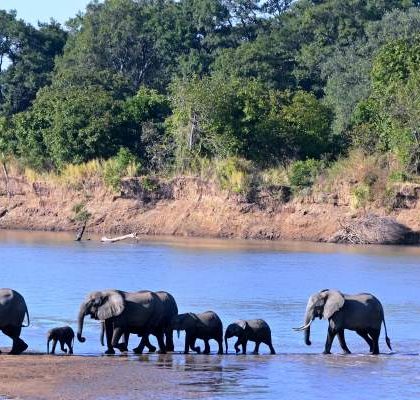 Naturaleza salvaje y paisajes increíbles en el valle del Zambeze