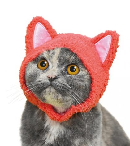 Estas capuchas permiten agregarle adorables orejas de gato… a tu gato