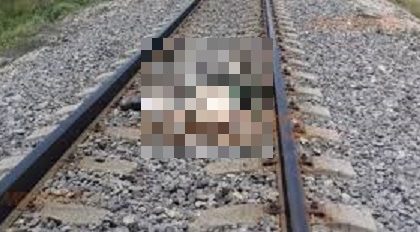 Muere un hondureño al caer del tren