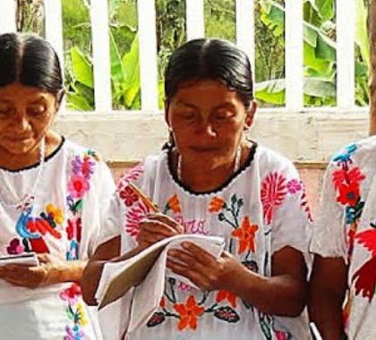 El 27 por ciento de los indígenas potosinos son analfabetas: IEEA