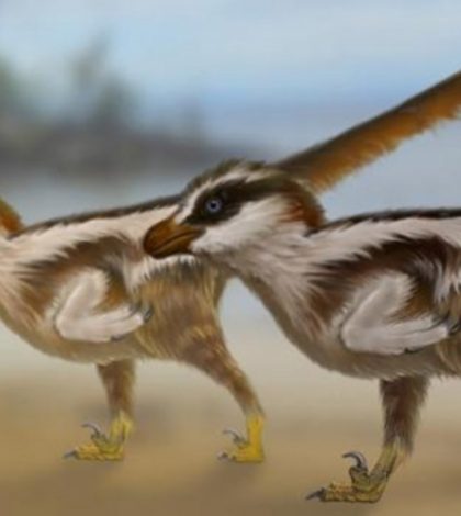 Descubren las huellas de dinosaurio más pequeñas del mundo