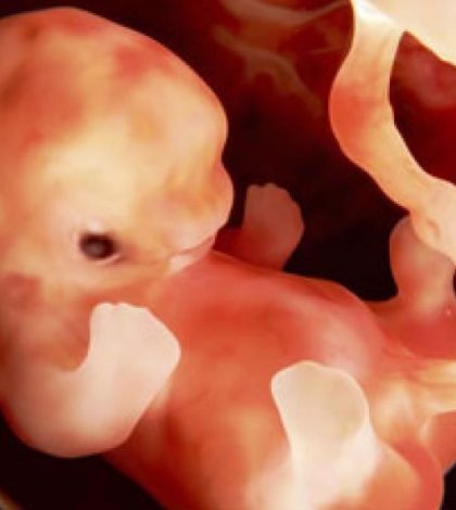 Madre publica aviso en Internet para cambiar un embrión femenino por un niño