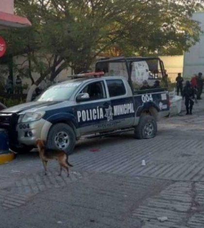 Acribillan a mandos policiacos de Zitlala, Guerrero