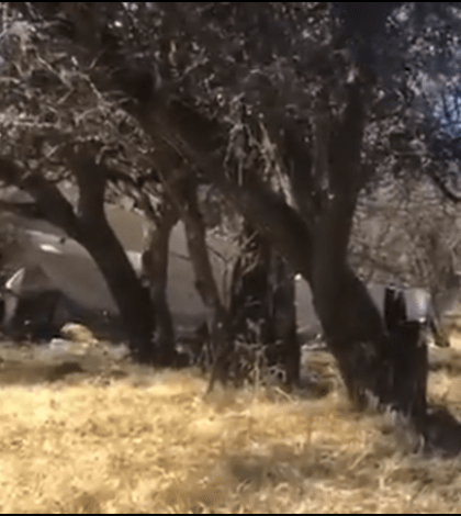 Muere vocal del INE Durango tras desplome de avioneta