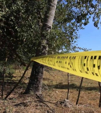 Fiscalía de Colima confirma hallazgo de 69 cuerpos en fosas clandestinas