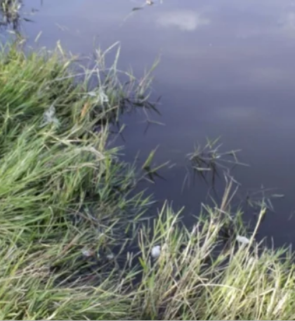 Hallan cadáver en canal de riego en Valle de Chalco