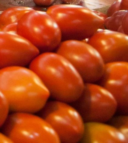 México solicita a EU dar solución a acuerdo de suspensión del tomate