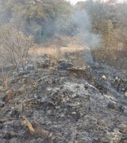 Se registra incendio en zona ecológica del Ajusco