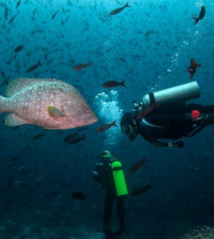 Ecuador y NatGeo van por la conservación de las Galápagos