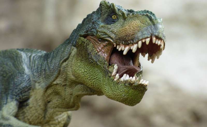Dónde ver dinosaurios de tamaño real en México – El Heraldo de San Luis  Potosi