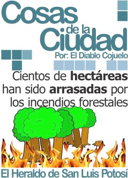 Cosas de la ciudad: Cientos de hectáreas han sido arrasadas por los incendios forestales