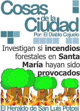 Cosas de la ciudad: Investigan si incendios forestales en Santa María hayan sido provocados