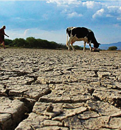 Lluvias recientes, insuficientes para abatir sequía