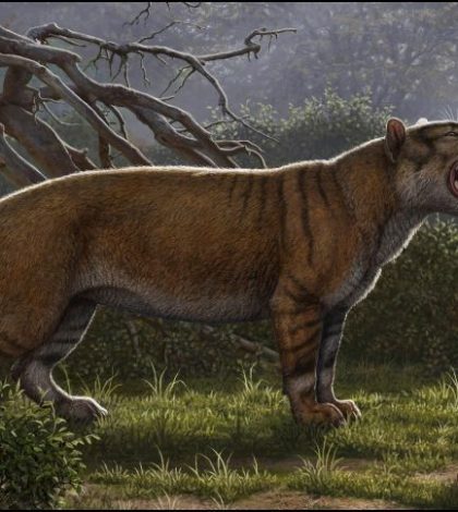 Descubren restos en Kenia de uno de los mayores mamíferos terrestres