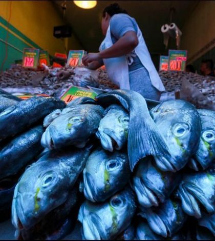 Recomiendan extremar precauciones al consumir pescados y mariscos
