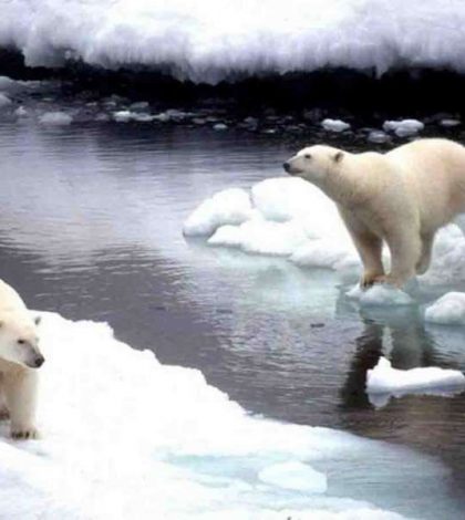 Hielo del Ártico se derrite a ritmo alarmante, revela estudio