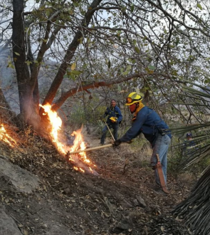 Atrapan a presunto  incendiario en la Sierra