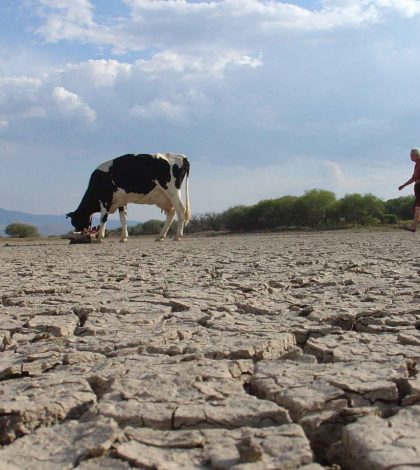 Azota la sequía  a las zonas Huasteca y Altiplano