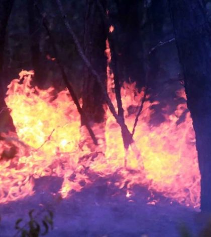 Luchan por sofocar incendios forestales