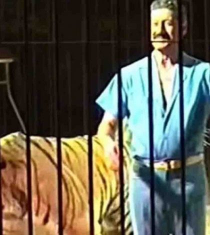 Famoso domador italiano muere devorado por tigres