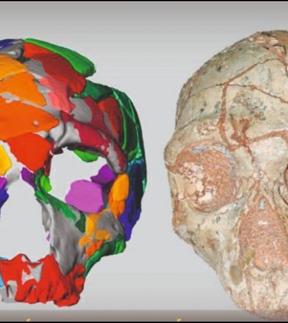 Hallan cráneo de Homo sapiens fuera de África