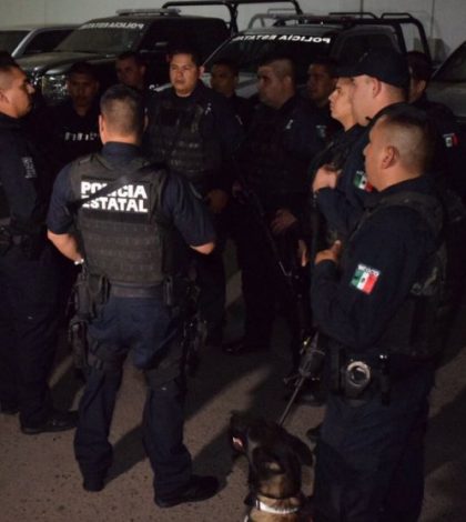 Decomisan arsenal y vehículos robados en Nogales, Sonora