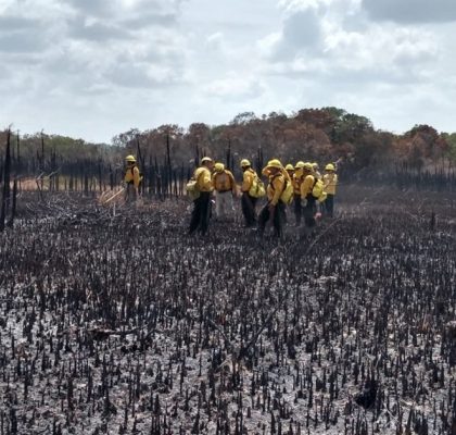 Cierran sitio arqueológico Muyil, en Quintana Roo, por incendio