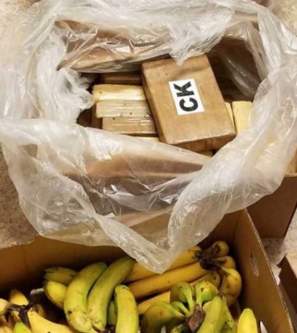 Descubren paquetes de cocaína en  cajas de plátanos