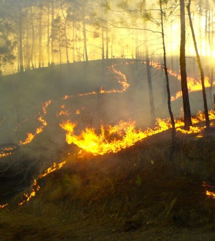 Incendio en Ciudad Valles ha consumido 60 hectáreas: Conafor