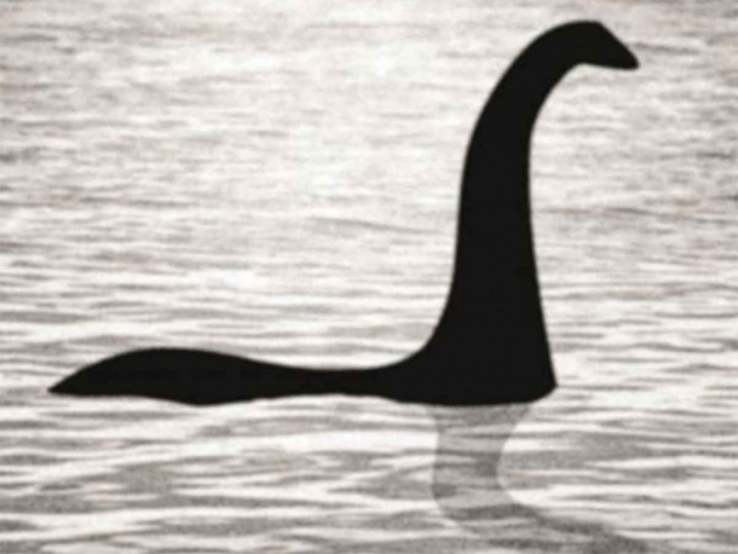 El Monstruo Del Lago Ness Podria Ser Una Anguila Gigante El Heraldo De San Luis Potosi