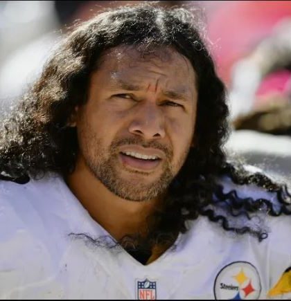 Wayne y Polamalu lideran la lista rumbo a Canton