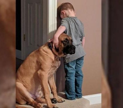 Niño es castigado y su perro le demuestra su amistad