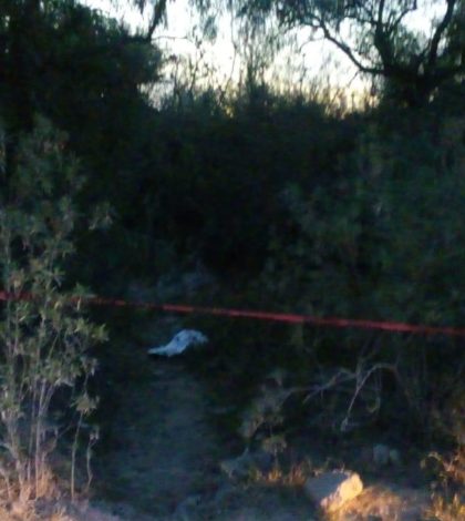 Golpeado fue descubierto el cadáver de un joven en camino  a Arroyos