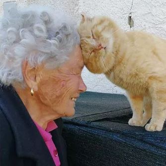 Así fue el reencuentro de una abuelita con su gato luego de 3 años (video)