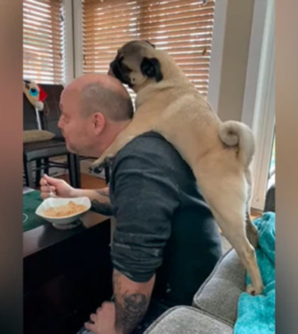 Perro exige cariño a su dueño en  un gracioso vídeo