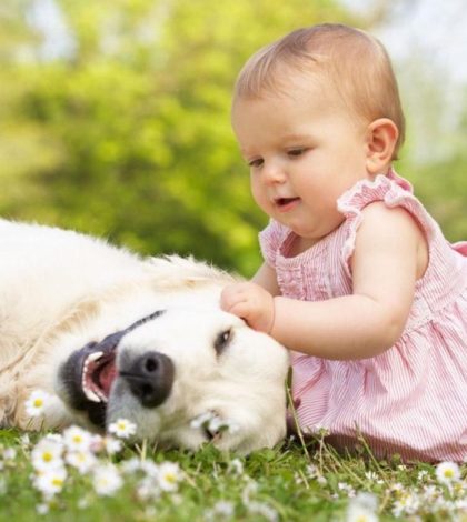 El conmovedor momento en el que un bebé consuela a perro asustado
