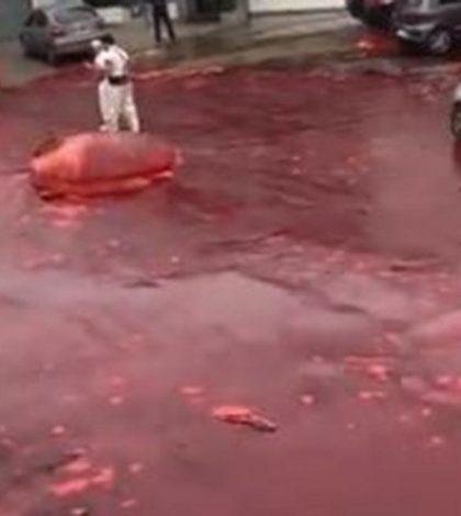 ¡Aterrador! Se desata ‘río de sangre’ en calles de Argentina